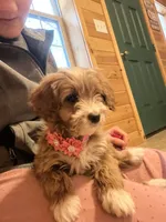 processed/f0302c54-3676-4be1-bdc5-946b8ddcd995/listing/a42ee426-fb3b-49e4-bec5-2a677a793d0c/87b5fea5-a408-4623-aebe-3025c0ae901f