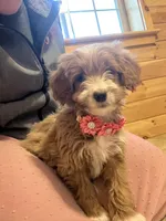 processed/f0302c54-3676-4be1-bdc5-946b8ddcd995/listing/a42ee426-fb3b-49e4-bec5-2a677a793d0c/951ae6dd-633a-471a-b8c8-0e173639bb60