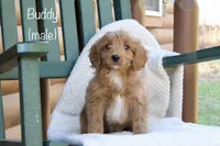 processed/f0302c54-3676-4be1-bdc5-946b8ddcd995/listing/b9c7a383-55fa-4c4e-9633-2ed085d87d13/3117eba8-fbe7-43d8-97c3-ba1802f22948