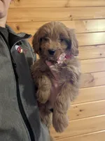 processed/f0302c54-3676-4be1-bdc5-946b8ddcd995/listing/b9c7a383-55fa-4c4e-9633-2ed085d87d13/8e50f925-8768-43c3-8e00-c14608050149