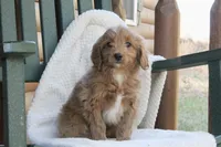 processed/f0302c54-3676-4be1-bdc5-946b8ddcd995/listing/b9c7a383-55fa-4c4e-9633-2ed085d87d13/dc673778-fddc-422b-976a-1583a3013680