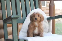 processed/f0302c54-3676-4be1-bdc5-946b8ddcd995/listing/b9c7a383-55fa-4c4e-9633-2ed085d87d13/ed25a5bb-e16d-45a5-a75b-93ee3dc85ccf