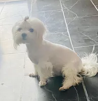 processed/f0368894-7514-4895-ae28-68154565bd69/facility/0df756dc-4677-4dca-95f9-95c7129233b0