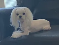 processed/f0368894-7514-4895-ae28-68154565bd69/facility/4020f4b2-9c89-43e3-8cdb-bd48f7224fac