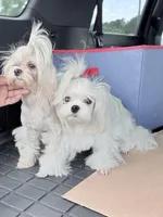 processed/f0368894-7514-4895-ae28-68154565bd69/facility/49f3f1cf-3852-4a42-ac33-0a91164aa279