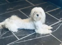 processed/f0368894-7514-4895-ae28-68154565bd69/facility/8c9f1cef-efd0-419f-bd0b-f55924c63fd9