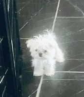 processed/f0368894-7514-4895-ae28-68154565bd69/facility/bf6dff7b-dd4f-4688-a77b-172841e94d4b