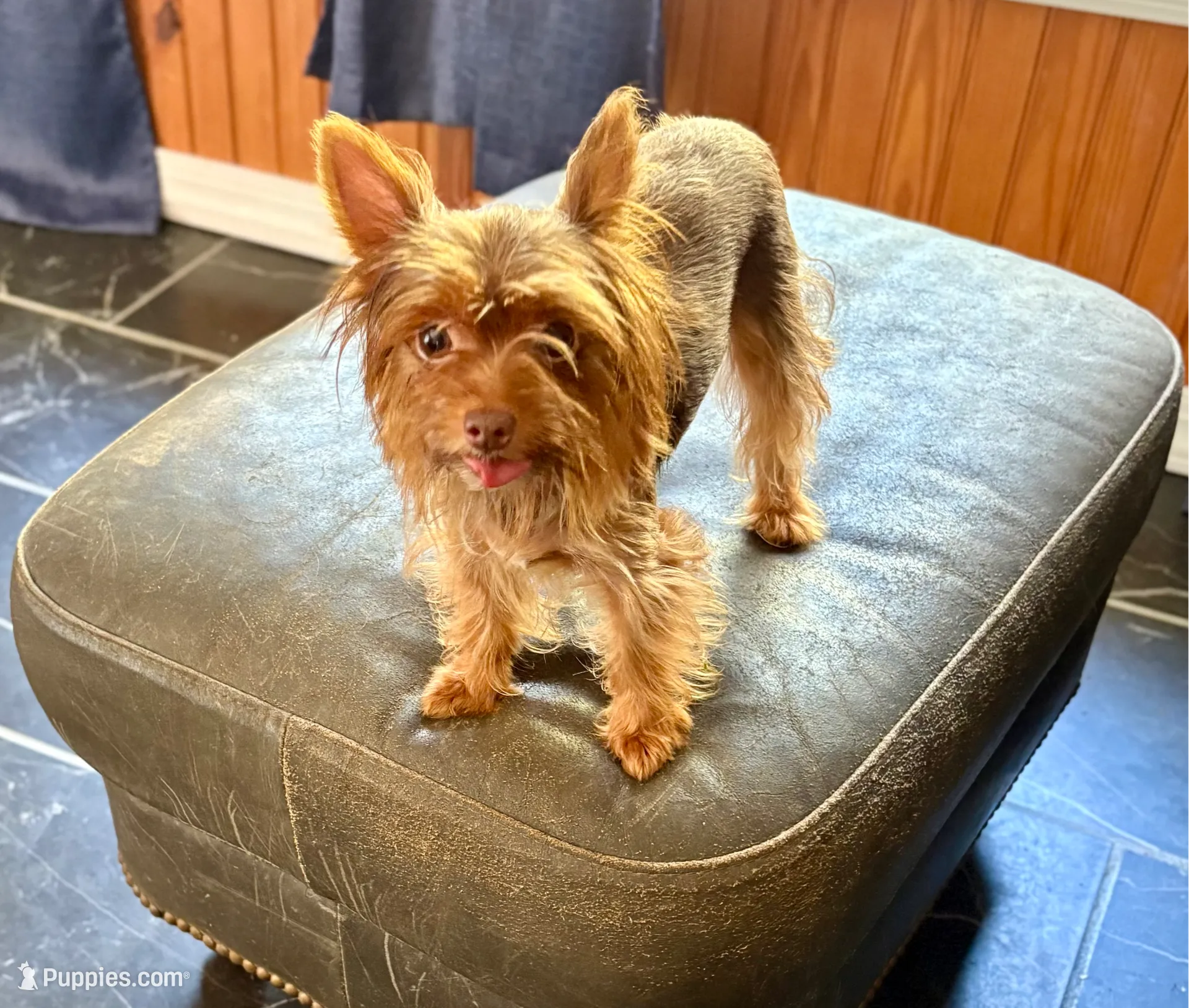 processed/f0368894-7514-4895-ae28-68154565bd69/listing/87e84a94-ca86-49e7-a619-7a53b6c67915/1aa66d8b-e467-462e-b6d9-c194e44dfc43