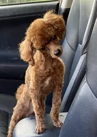 processed/f0368894-7514-4895-ae28-68154565bd69/listing/87e84a94-ca86-49e7-a619-7a53b6c67915/8ae59a8a-7190-4c8f-a5e6-e36c2297dd66