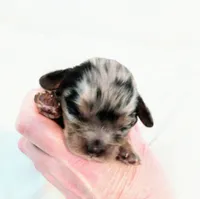 processed/f03f1917-914d-49e4-b353-31e3256c8159/facility/90615fb0-0bad-453b-8ec1-747ea160e44f