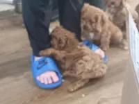 processed/f03f1917-914d-49e4-b353-31e3256c8159/facility/bee984ab-5b9e-4ad8-9cc3-1f631130c38d