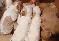 processed/f03f1917-914d-49e4-b353-31e3256c8159/facility/c74c276b-ee3a-4d48-a80f-1a950c37df55