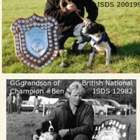 MG1, a female Border Collie for sale in Castle Rock, CO – Photo 10 of 10