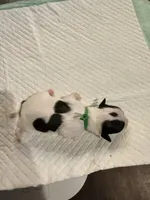 processed/f046a355-210d-4c66-a201-bc44f9d3497b/listing/789c7a49-b1f5-4003-920b-0efc3e710153/41db6063-0e95-4554-ae83-39bc91873c85