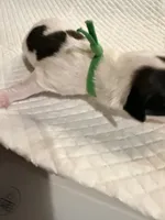 processed/f046a355-210d-4c66-a201-bc44f9d3497b/listing/789c7a49-b1f5-4003-920b-0efc3e710153/9994e1a6-2125-4549-b1a2-2b95259af667