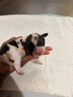 processed/f046a355-210d-4c66-a201-bc44f9d3497b/listing/a4f8a8ec-f846-4a17-a3f0-6d6d60a55569/170555d6-5ed8-4e9a-9ef0-89d92d136e89