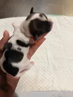 processed/f046a355-210d-4c66-a201-bc44f9d3497b/listing/a4f8a8ec-f846-4a17-a3f0-6d6d60a55569/1a415756-e671-4ea5-a1a7-d1d1586999c8