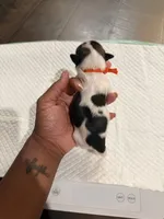 processed/f046a355-210d-4c66-a201-bc44f9d3497b/listing/a4f8a8ec-f846-4a17-a3f0-6d6d60a55569/2ce7d83e-10ce-47c2-ada3-06e76d0c34b1