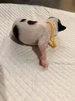 processed/f046a355-210d-4c66-a201-bc44f9d3497b/listing/c4cb41fb-81a4-4a92-b87a-8acea5548b01/16d77637-aabf-4445-9935-abcf4dad55aa