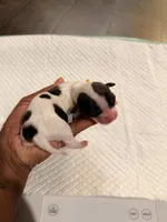 processed/f046a355-210d-4c66-a201-bc44f9d3497b/listing/c4cb41fb-81a4-4a92-b87a-8acea5548b01/19a1fdcf-f414-4e87-89e2-085d8dad6bc9