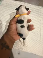 processed/f046a355-210d-4c66-a201-bc44f9d3497b/listing/c4cb41fb-81a4-4a92-b87a-8acea5548b01/23cc775f-1775-4d33-86ad-940105aae7c4