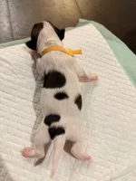 processed/f046a355-210d-4c66-a201-bc44f9d3497b/listing/c4cb41fb-81a4-4a92-b87a-8acea5548b01/60936ea0-7153-4c67-b3fb-7e21adf3312c