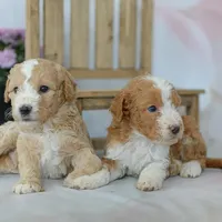 processed/f05a3301-a9de-4ee8-9de2-6b783764ac22/facility/36273fe7-7a9e-4e4d-9560-ec4904cad3f6