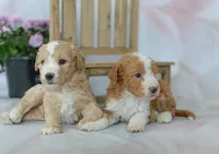 processed/f05a3301-a9de-4ee8-9de2-6b783764ac22/facility/36273fe7-7a9e-4e4d-9560-ec4904cad3f6