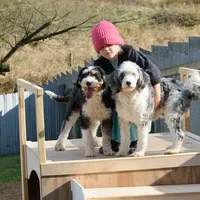 processed/f05a3301-a9de-4ee8-9de2-6b783764ac22/facility/d3d09003-bd3b-4ef4-bf7c-4faf90f86397