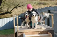 processed/f05a3301-a9de-4ee8-9de2-6b783764ac22/facility/d3d09003-bd3b-4ef4-bf7c-4faf90f86397