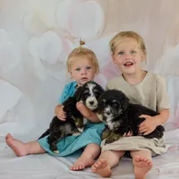 processed/f05a3301-a9de-4ee8-9de2-6b783764ac22/facility/e61c6d71-c78f-48e4-afc7-a50a24c0f736