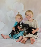 processed/f05a3301-a9de-4ee8-9de2-6b783764ac22/facility/e61c6d71-c78f-48e4-afc7-a50a24c0f736