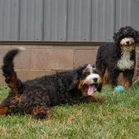 processed/f05a3301-a9de-4ee8-9de2-6b783764ac22/facility/f64a000a-0fd4-4d48-b8e3-ba15dc9b7a19