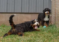 processed/f05a3301-a9de-4ee8-9de2-6b783764ac22/facility/f64a000a-0fd4-4d48-b8e3-ba15dc9b7a19