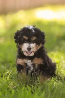 processed/f05a3301-a9de-4ee8-9de2-6b783764ac22/listing/8c8c38a5-eee2-4ce8-8dd0-c114edc022fd/0111c501-4112-4fa0-bc3d-28c0618bc28a