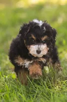 processed/f05a3301-a9de-4ee8-9de2-6b783764ac22/listing/8c8c38a5-eee2-4ce8-8dd0-c114edc022fd/20c5a20f-2a14-4161-8eae-274c66450d30