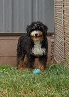 processed/f05a3301-a9de-4ee8-9de2-6b783764ac22/listing/8c8c38a5-eee2-4ce8-8dd0-c114edc022fd/3a1f1e9a-18db-4527-b84c-4e47ed26b738