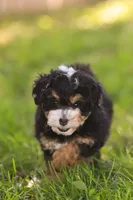 processed/f05a3301-a9de-4ee8-9de2-6b783764ac22/listing/8c8c38a5-eee2-4ce8-8dd0-c114edc022fd/4b3a6095-5d25-470d-a8bf-b4be203e7b3b