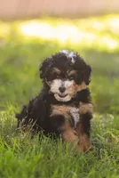 processed/f05a3301-a9de-4ee8-9de2-6b783764ac22/listing/8c8c38a5-eee2-4ce8-8dd0-c114edc022fd/68512412-b6d3-46d6-8c74-fb43ce1b4dd0