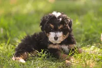 processed/f05a3301-a9de-4ee8-9de2-6b783764ac22/listing/8c8c38a5-eee2-4ce8-8dd0-c114edc022fd/9d8a95a0-fcc9-49fc-a570-721f0534557b