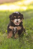 processed/f05a3301-a9de-4ee8-9de2-6b783764ac22/listing/8c8c38a5-eee2-4ce8-8dd0-c114edc022fd/b93e5add-16c4-4c6a-88e9-d8cedc0f18dc