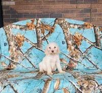 processed/f05f104c-cd7d-4124-a23a-6f6c314f8d34/listing/0398780d-6d17-4df2-bfd9-8e61a2f8f96b/00b328be-b087-4d88-a67a-6c1cbed609db