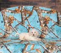 processed/f05f104c-cd7d-4124-a23a-6f6c314f8d34/listing/0398780d-6d17-4df2-bfd9-8e61a2f8f96b/53eb164a-8829-415f-b87d-2087c915349a