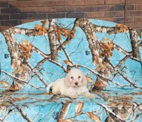 processed/f05f104c-cd7d-4124-a23a-6f6c314f8d34/listing/0398780d-6d17-4df2-bfd9-8e61a2f8f96b/e8312a32-2ef3-4707-af06-318017650139