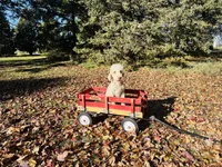 processed/f05f104c-cd7d-4124-a23a-6f6c314f8d34/listing/7435e52f-294c-45f1-909e-67c6c865021e/0ee5ca64-3748-4b7d-b4ee-3f0defbf8479