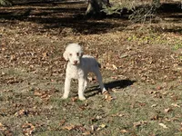 processed/f05f104c-cd7d-4124-a23a-6f6c314f8d34/listing/7435e52f-294c-45f1-909e-67c6c865021e/1f5b81f1-b2aa-468a-87cd-5fb6708246c5