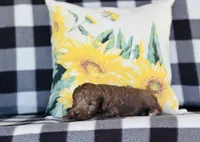 processed/f05f104c-cd7d-4124-a23a-6f6c314f8d34/listing/7435e52f-294c-45f1-909e-67c6c865021e/5413dd15-80ec-4fb1-928b-0ba1656c20ab