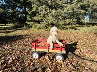 processed/f05f104c-cd7d-4124-a23a-6f6c314f8d34/listing/7435e52f-294c-45f1-909e-67c6c865021e/85bcd438-0c53-4394-a95f-123552c23c71