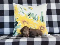 processed/f05f104c-cd7d-4124-a23a-6f6c314f8d34/listing/7435e52f-294c-45f1-909e-67c6c865021e/8605cbff-9d4c-4ead-a7e9-f877b935cfb8