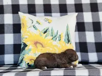 processed/f05f104c-cd7d-4124-a23a-6f6c314f8d34/listing/7435e52f-294c-45f1-909e-67c6c865021e/f14874ff-826c-485e-b1cd-fed2ed150634